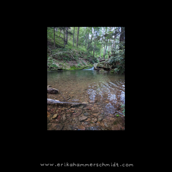 Hidden pool on a hiking trail at Delaware Water Gap