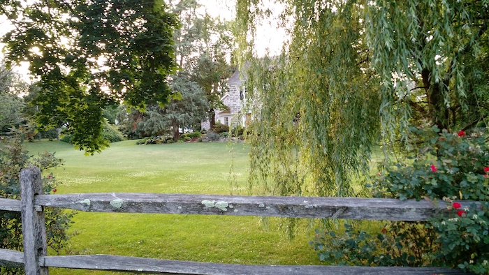 Very pretty house and garden visible on my walk home. 