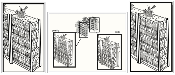 Close-up of a section of a miniature apartment building seen from both sides. Each shelf has walkways with guardrail. Apartments have small signs above them. On one side apartments are open like dollhouses. Most are strange and alien, such as an aquarium-like room containing a large fish, a room with mouse-like creatures playing a board game, and a room with a two-headed cat-eared vendor behind a counter overlooking the walkway. Other side is closed off with outer doors and windows. These are also strange, including doors resembling mouths or flowers, a caged window like a boat porthole, and a stack of three round tubes in place of a door.