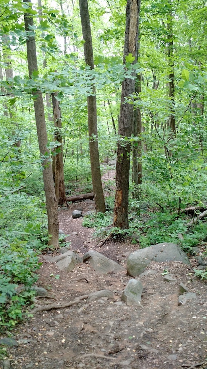 Ringing Rocks