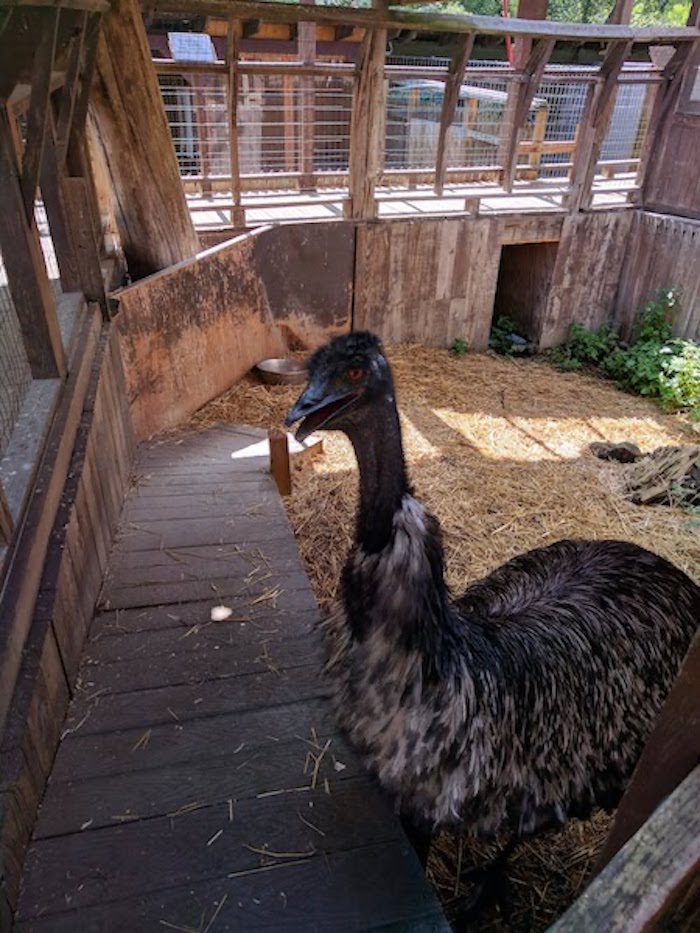 Pocono Snake Farm and Delaware Water Gap