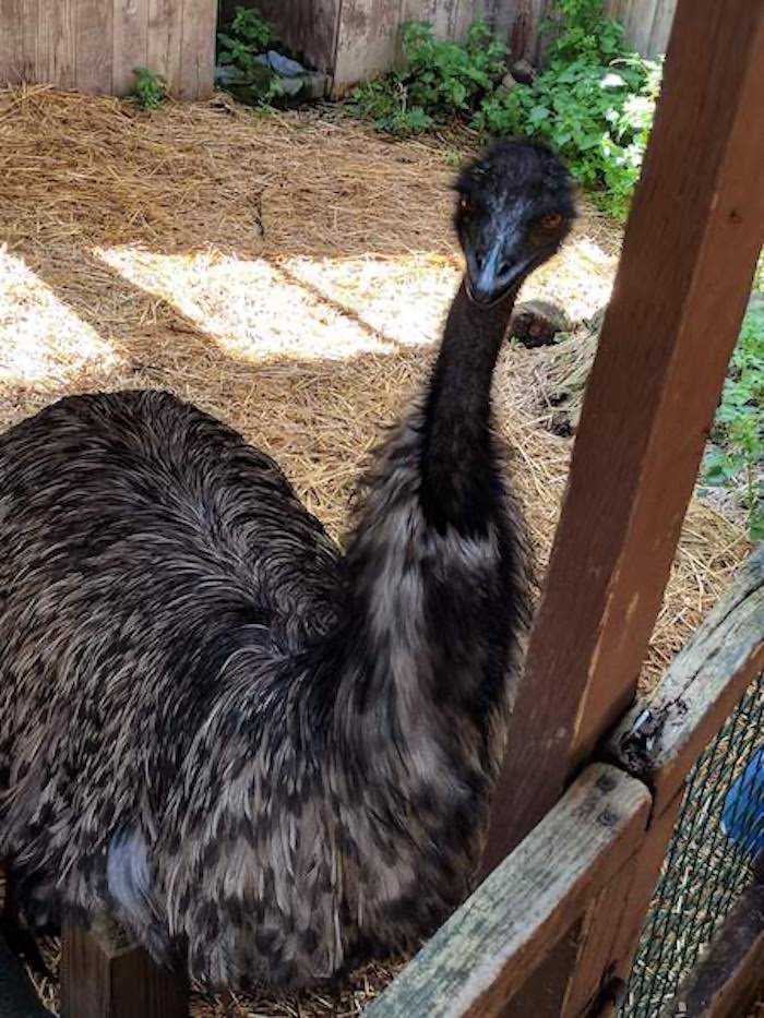 Pocono Snake Farm and Delaware Water Gap