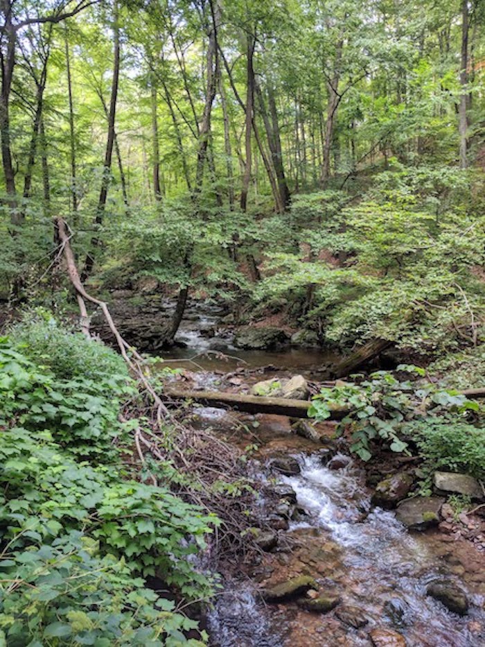 Pocono Snake Farm and Delaware Water Gap