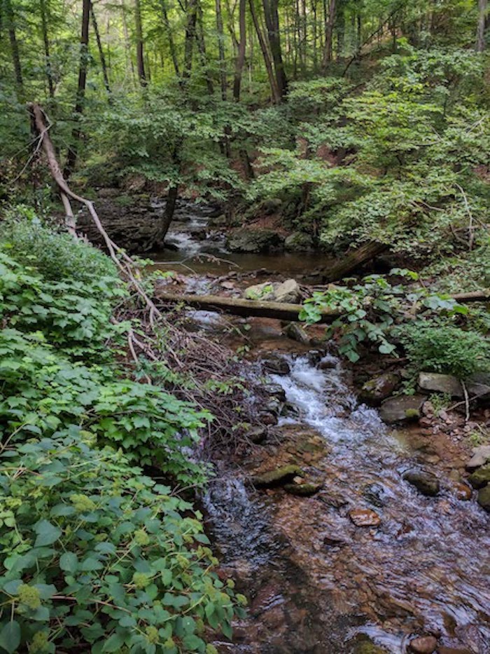 Pocono Snake Farm and Delaware Water Gap