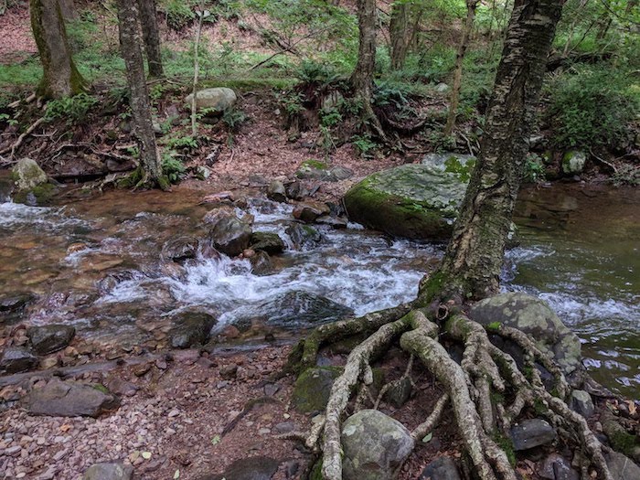 Pocono Snake Farm and Delaware Water Gap