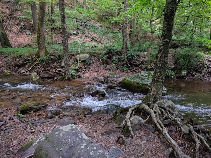 Pocono Snake Farm and Delaware Water Gap