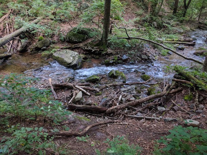 Pocono Snake Farm and Delaware Water Gap