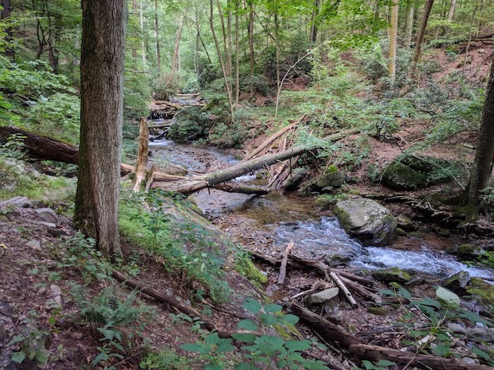 Pocono Snake Farm and Delaware Water Gap