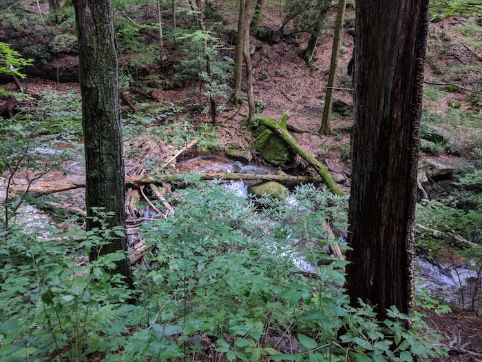 Pocono Snake Farm and Delaware Water Gap