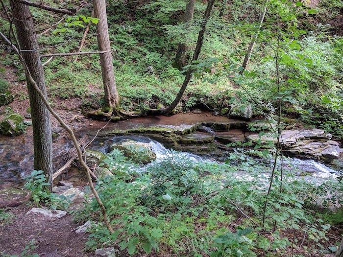 Pocono Snake Farm and Delaware Water Gap