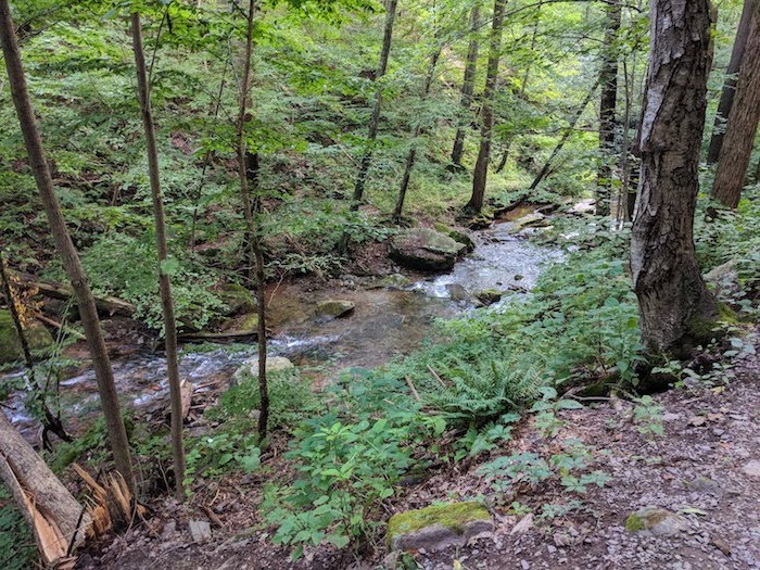 Pocono Snake Farm and Delaware Water Gap