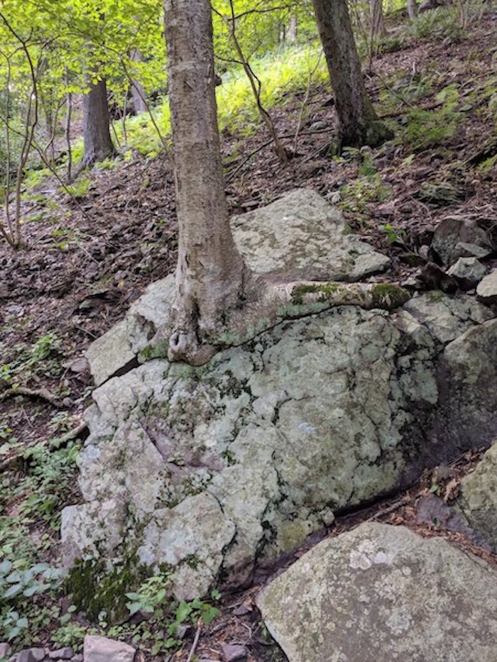 Pocono Snake Farm and Delaware Water Gap