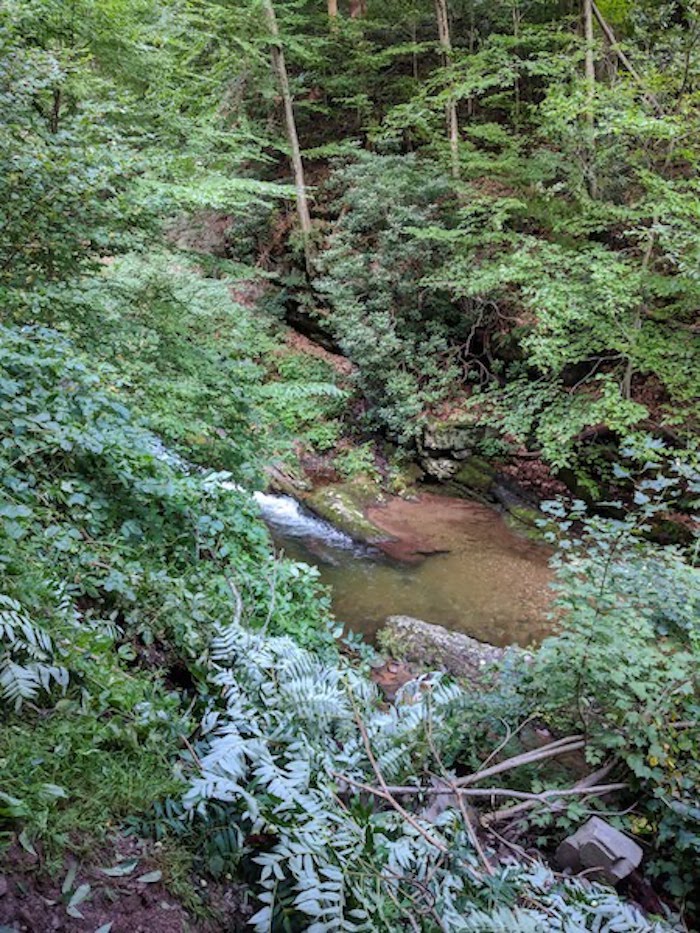 Pocono Snake Farm and Delaware Water Gap