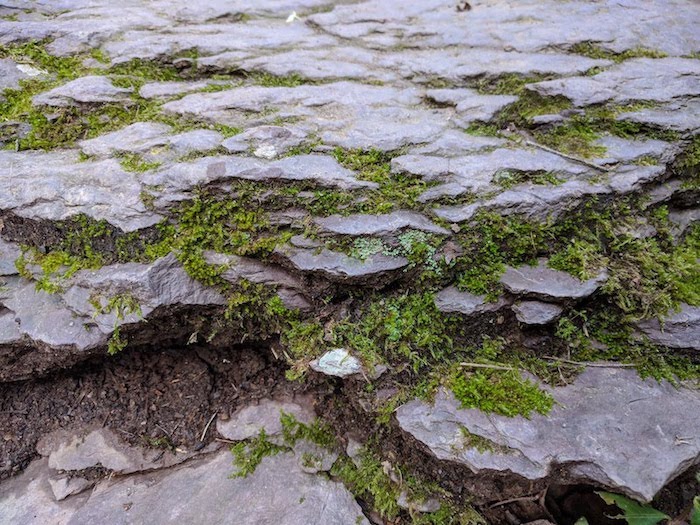 Pocono Snake Farm and Delaware Water Gap