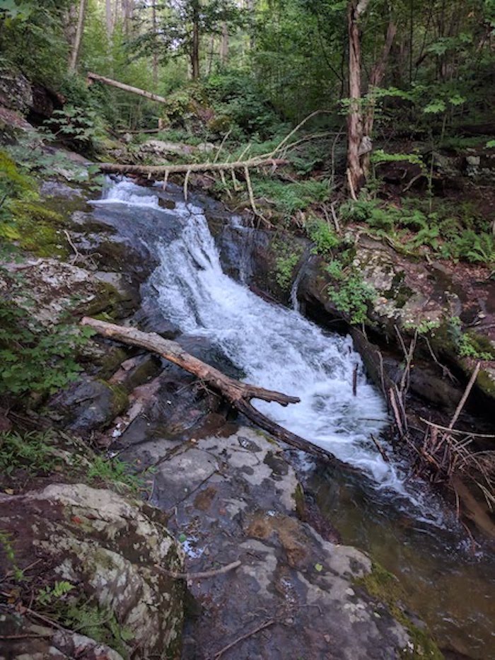 Pocono Snake Farm and Delaware Water Gap