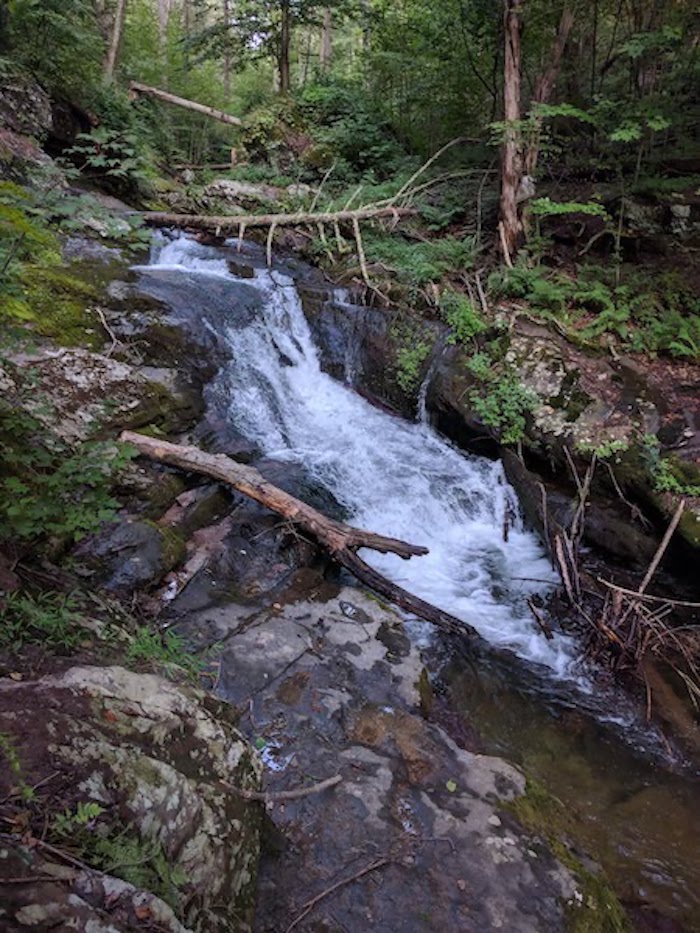 Pocono Snake Farm and Delaware Water Gap