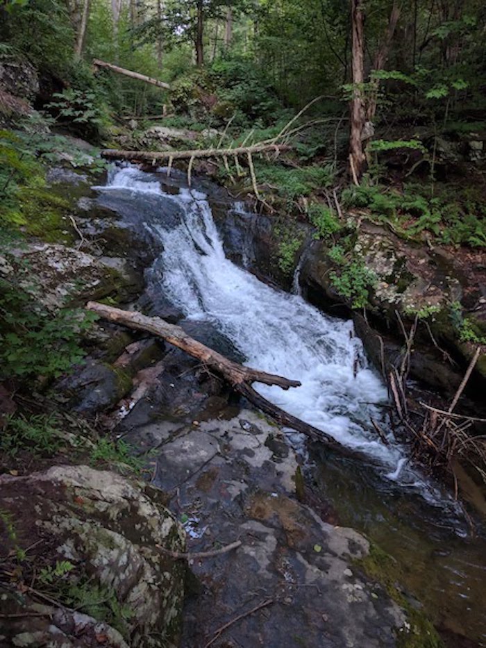 Pocono Snake Farm and Delaware Water Gap