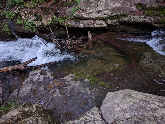 Pocono Snake Farm and Delaware Water Gap