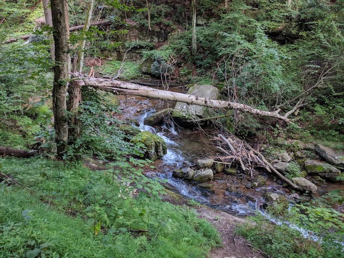 Pocono Snake Farm and Delaware Water Gap