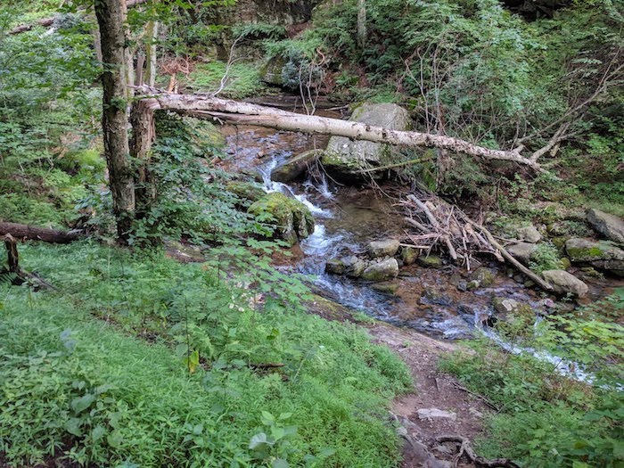 Pocono Snake Farm and Delaware Water Gap