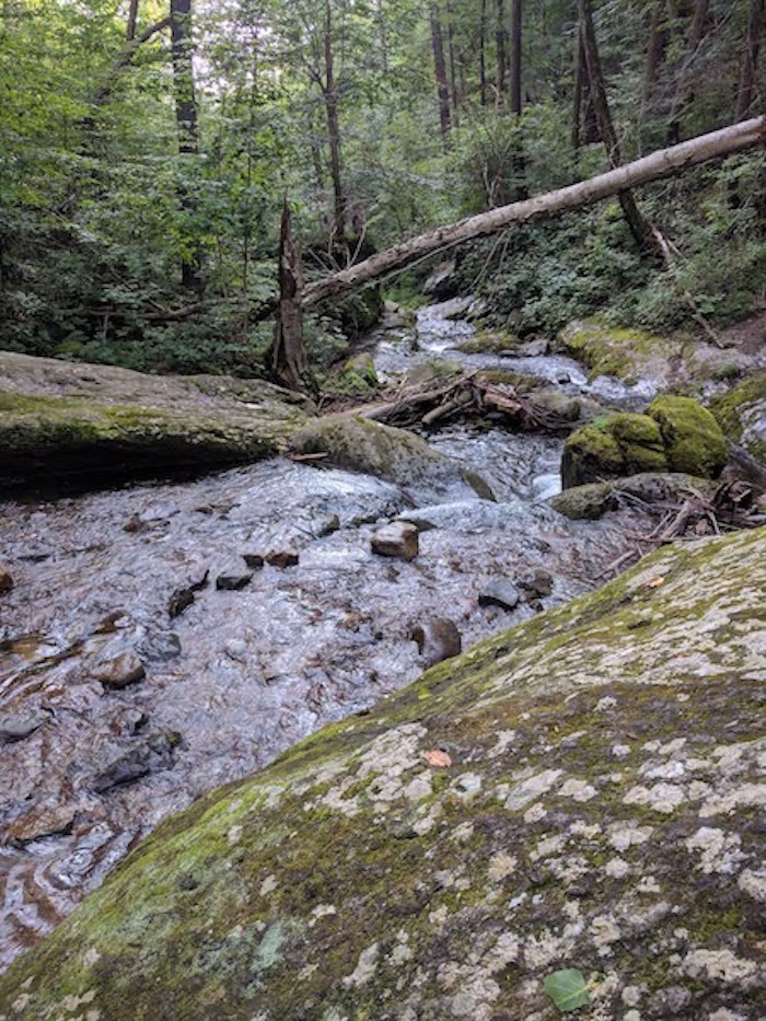 Pocono Snake Farm and Delaware Water Gap