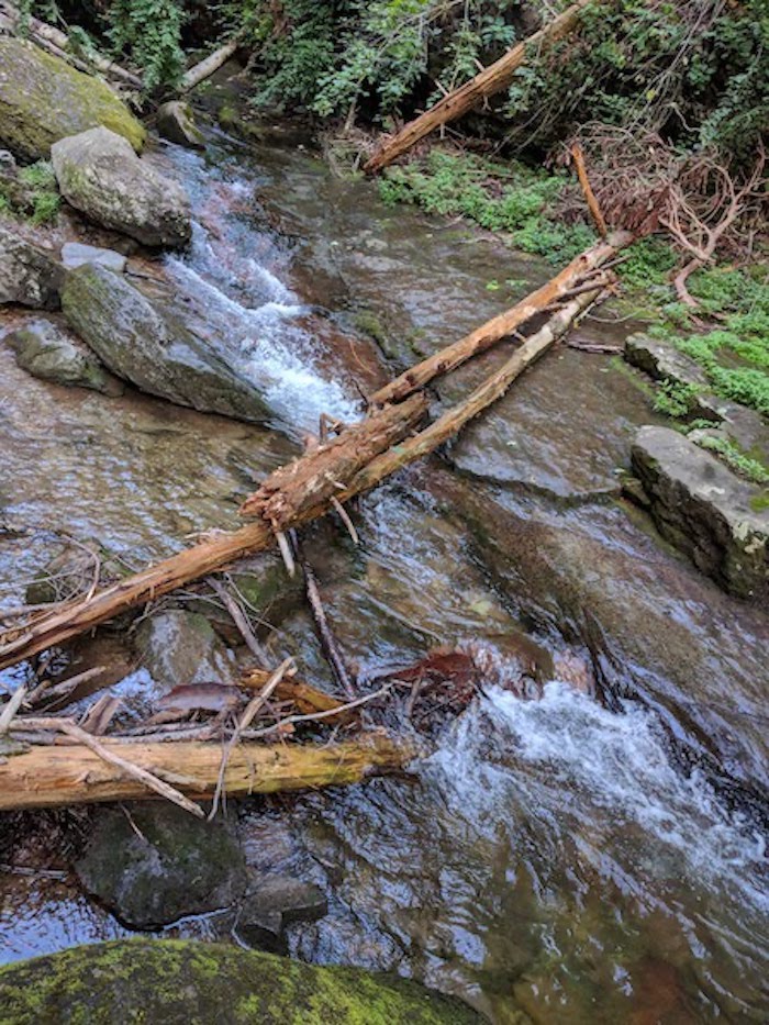 Pocono Snake Farm and Delaware Water Gap