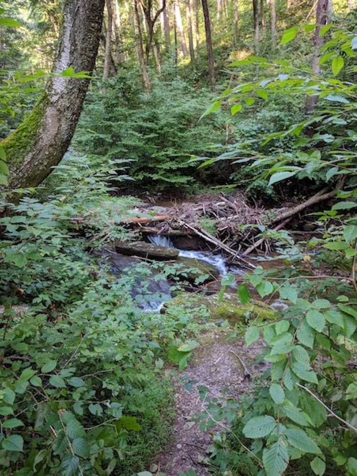 Pocono Snake Farm and Delaware Water Gap