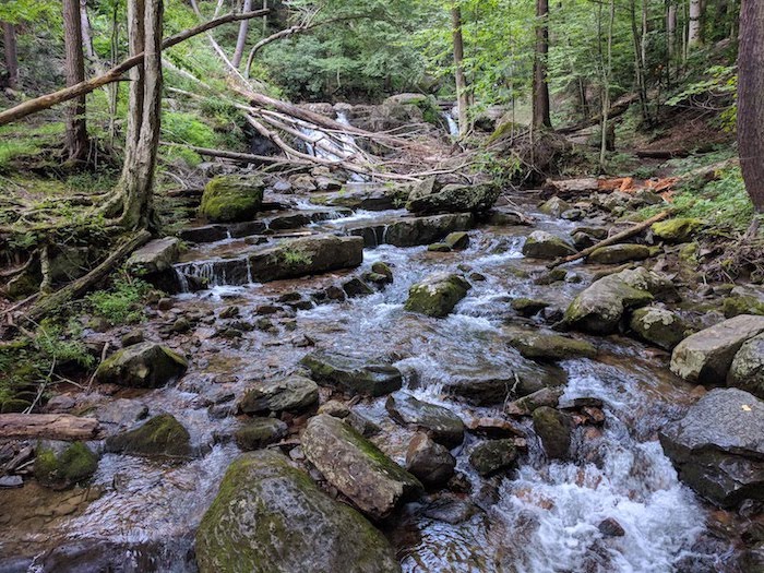 Pocono Snake Farm and Delaware Water Gap