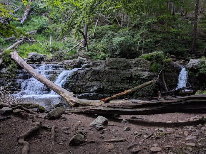 Pocono Snake Farm and Delaware Water Gap