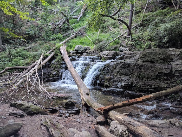 Pocono Snake Farm and Delaware Water Gap