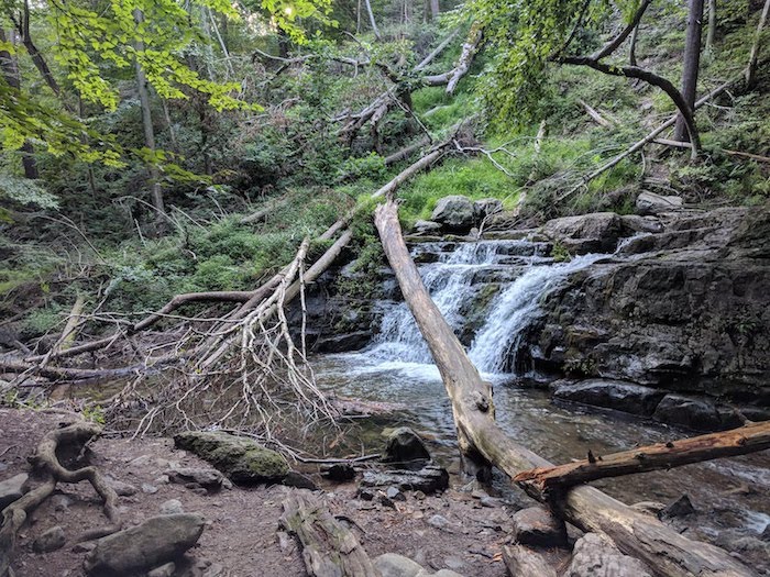 Pocono Snake Farm and Delaware Water Gap