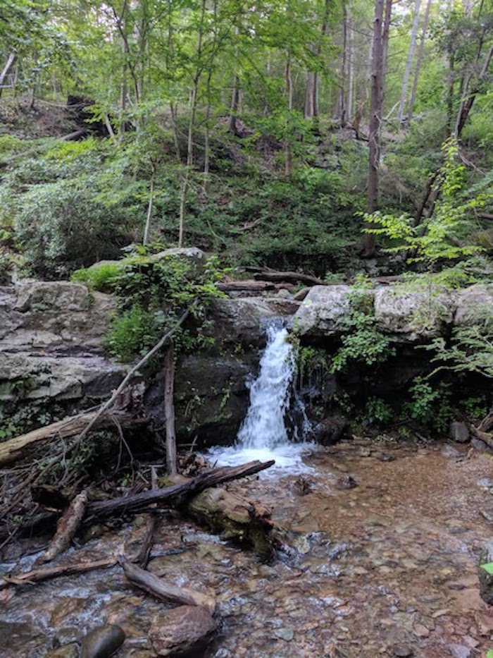 Pocono Snake Farm and Delaware Water Gap