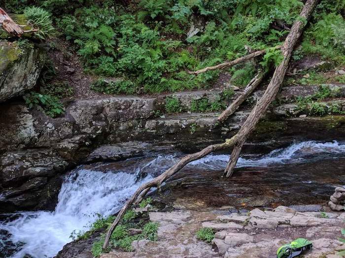 Pocono Snake Farm and Delaware Water Gap