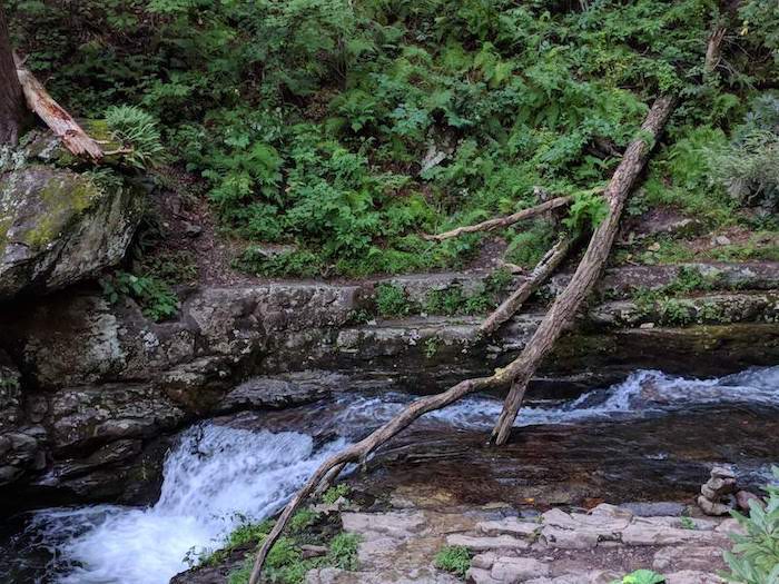 Pocono Snake Farm and Delaware Water Gap