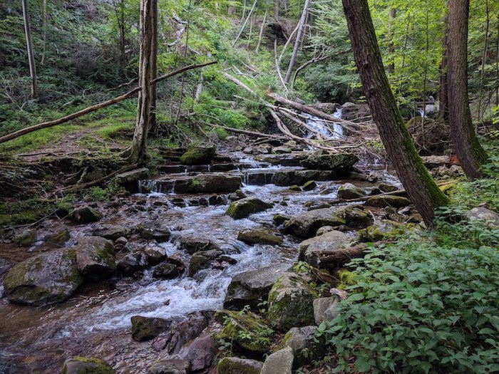 Pocono Snake Farm and Delaware Water Gap