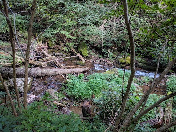 Pocono Snake Farm and Delaware Water Gap