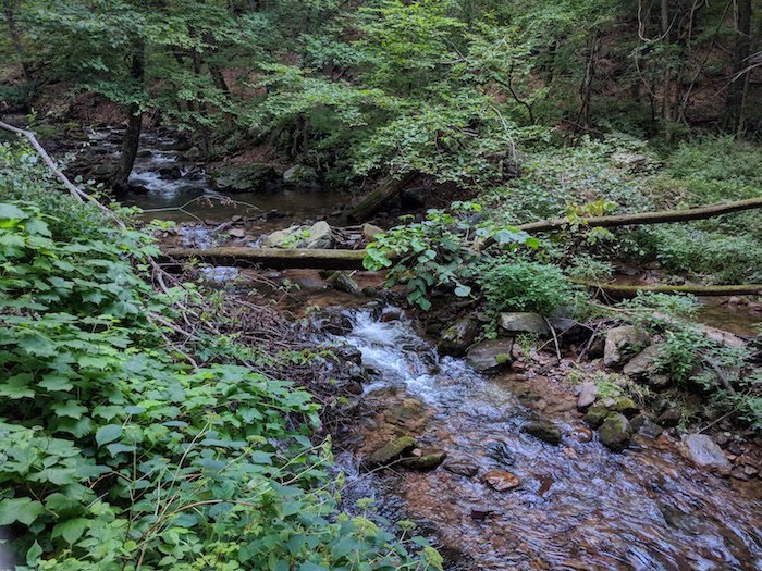 Pocono Snake Farm and Delaware Water Gap